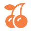 Slot Icon